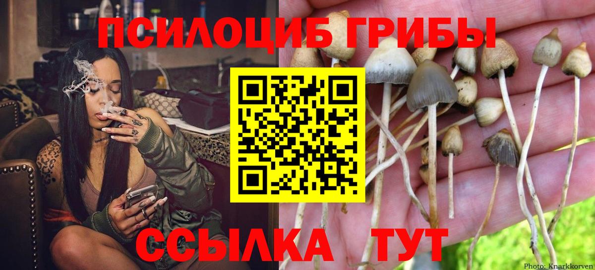 Псилоцибиновые грибы MAGIC MUSHROOMS Верхняя Салда